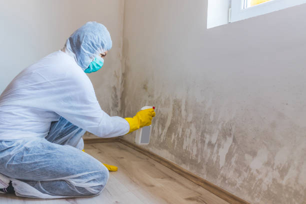 Hvac And Air Duct Mold Remediation inspection of HVAC system in Lake Worth Beach
